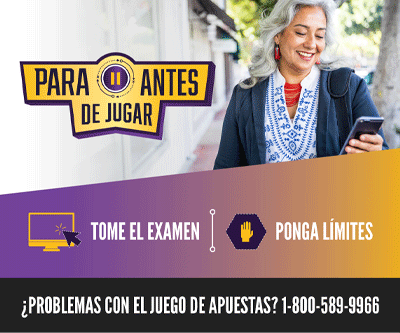 Spanish Translation Digital Ad Set 2 300x250