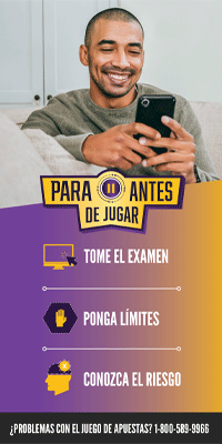 Spanish Translation Digital Ad Set 2 300x600